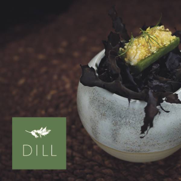 DILL_2402-DJT-Tivolidk-600x400px3